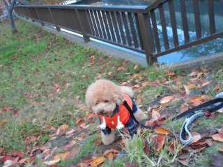 �����t�o�x�ꂽ!?