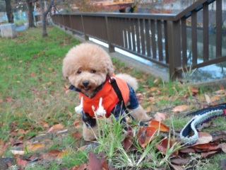 �H�U�����D�����[�I