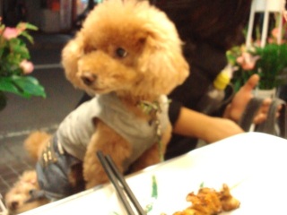 �R�R�A�������C�ɓ������H