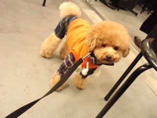 �����E�e�B����������@���H