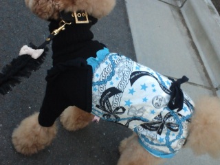 �����̃����E�e�B����