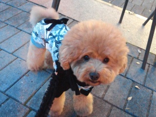 �����Ȃ�