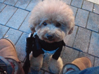 �����킽���̃����E�e�B��