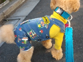 �����̃����E�e�B����