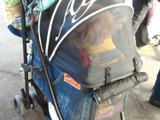 �J�[�g�C��