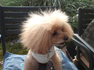 11�����܂�6�΂̃}���������