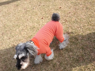 �͂Ȃ��������@���ł����H