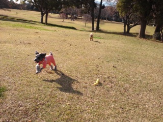 �����ɒǂ����Ȃ������E�e�B��