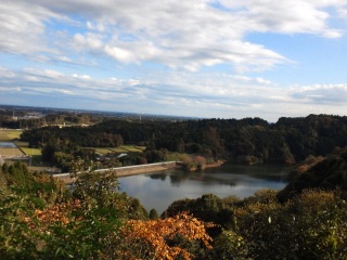 �����炵�䂩��