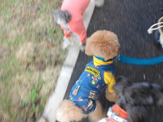 �����E�e�B�����K�V�K�V�����܂���