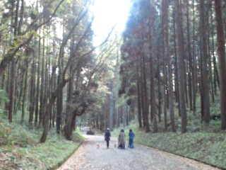 ������ƐX�̒����