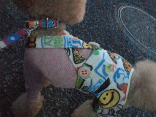 �����̃����E�e�B����