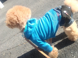 �����̃����E�e�B����