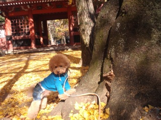 �؂Ƀ^�b�`�|