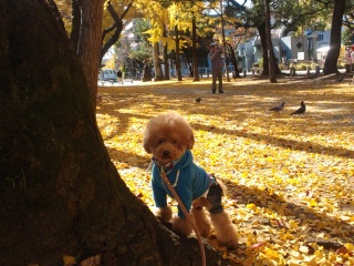 �}�}�ɋ��͓I�ȃ����E�e�B��