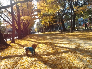 �ڂ𗣂��Ƌ�ǐH�ׂ悤�Ƃ���