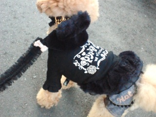 �����̃����E�e�B����2���