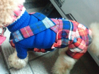 �����̃����E�e�B����