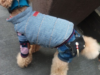 �����̃����E�e�B����