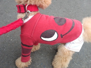 �����̃����E�e�B����