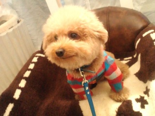 �������Y��