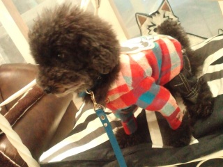 �f���Ȃ��������