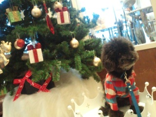 ���������̓W�b�Ƃ��Ă܂��B