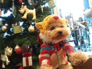 �R�R�ɂ��������I��蕨�L���O�I