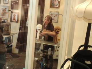 �����E�e�B��������ꂿ��