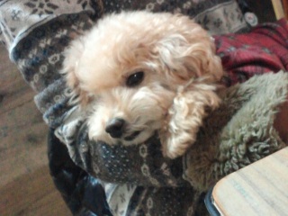 �����J���C�C�\�b������