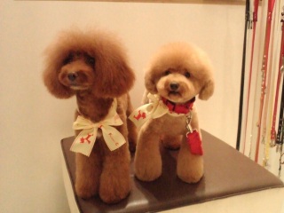 �����E�F���o���オ���