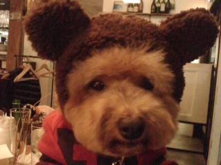 �T���ɂ���ό�����Ȃ�