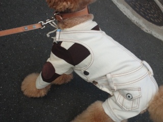 �����̃����E�e�B����