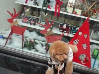 �N���X�}�X�ȃE�B���h�D