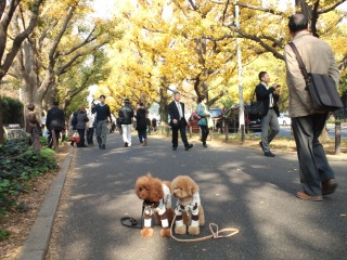 �C�G���[�͂�����Ȃ��I