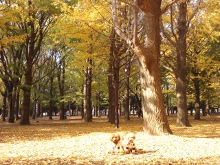 �܂����F�Ȑ��E