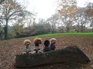 �S�����R�����ă^�b�`�I