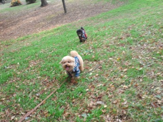 �������[��I��������[��I