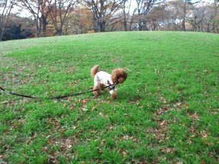 �E�F���q�̋u