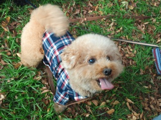 �������[���