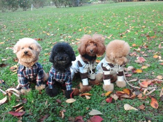 �s�^�b�ƕ���ł����������