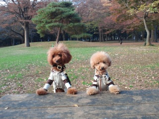 �������΂Ȃ��Ă��߂�ˁB