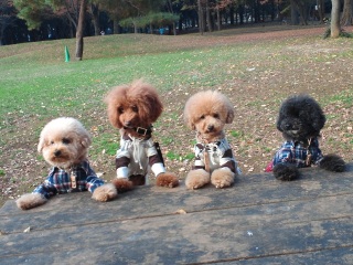 �݂�ȂŃg���C�I