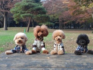 ���[������