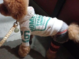 ���[���̕����킢�[