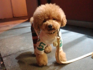 �����E�e�B���������カ�[