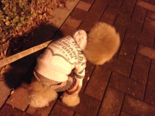 �H�ׂ��Ⴄ���I