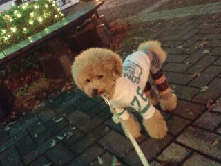 ������X�b�L���H