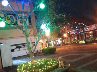 �C���~�l�[�V����