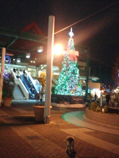 �����{���c���[